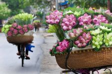 Hanoi Fullday Explore!