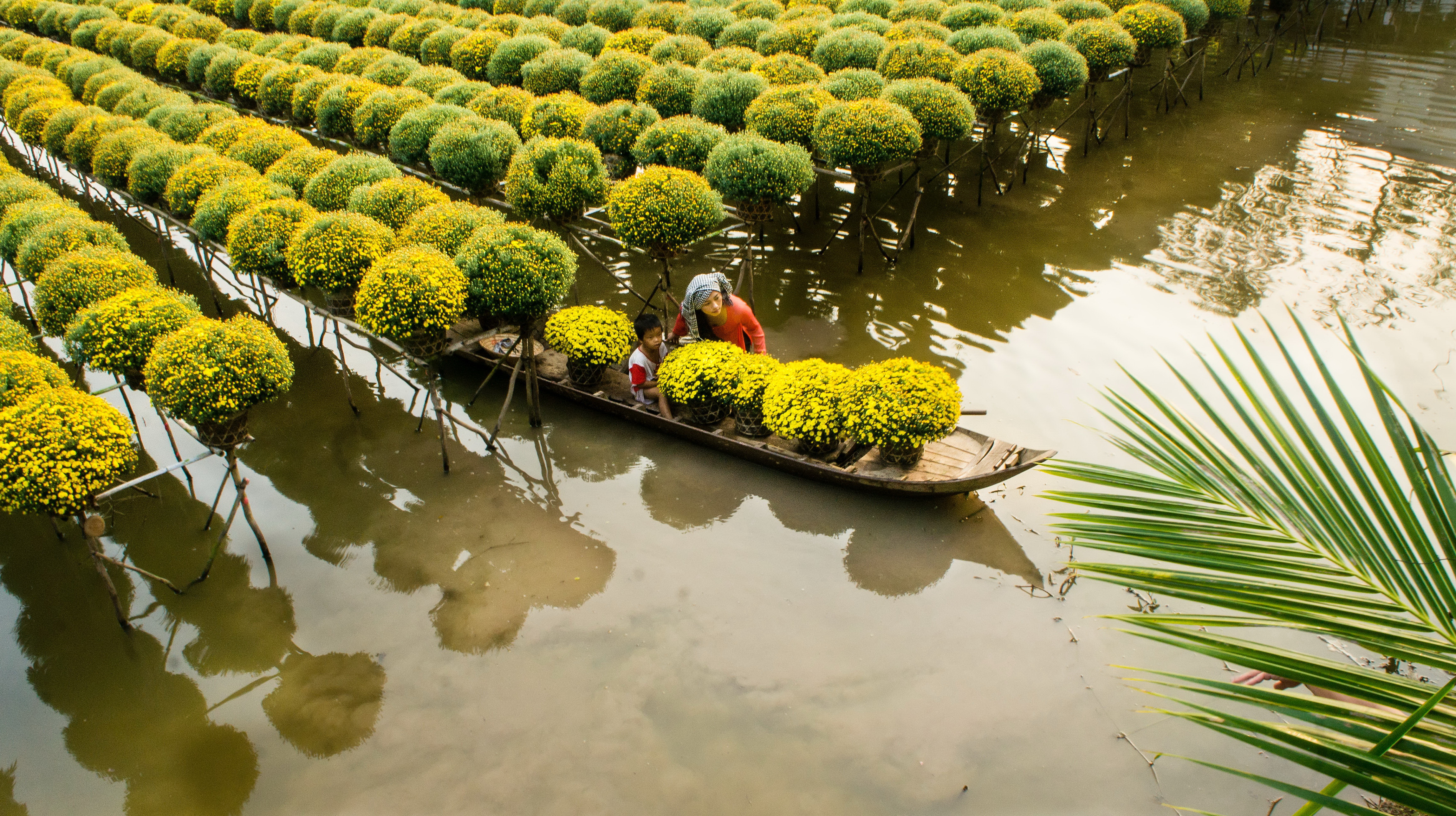 mekong-delta-my-tho