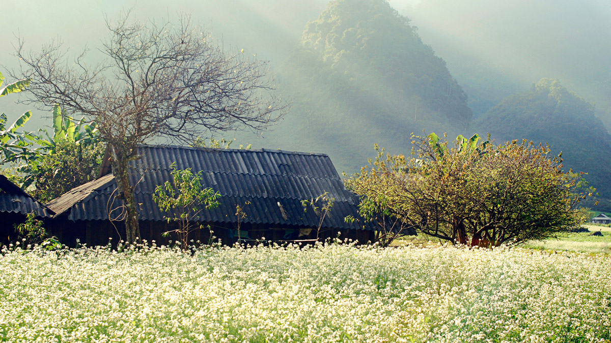 biking-hanoi-son-la-tuan-giao-dien-bien-lai-chau-sapa-hanoi